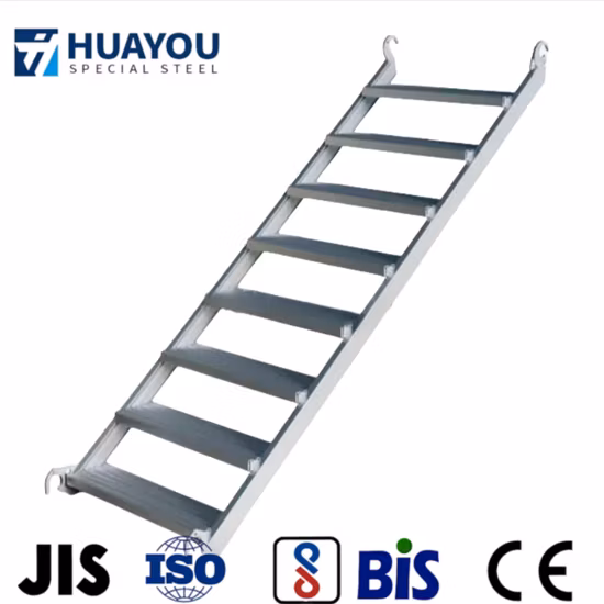 Mono de acero redondo del andamio del tubo de la industria que sube En Stansard de la escalera del mono de 3M