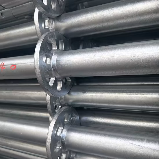 Toda la escalera de acero galvanizada redonda del aluminio de los accesorios del sistema del andamio de Ringlock